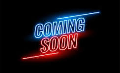 2026 Sylvan R-20 Party Fish